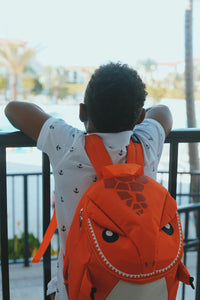Dino: Orange-o-saurus