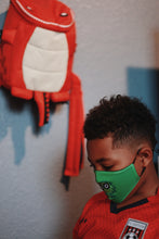 Load image into Gallery viewer, Face Mask (3 Colors to choose from)